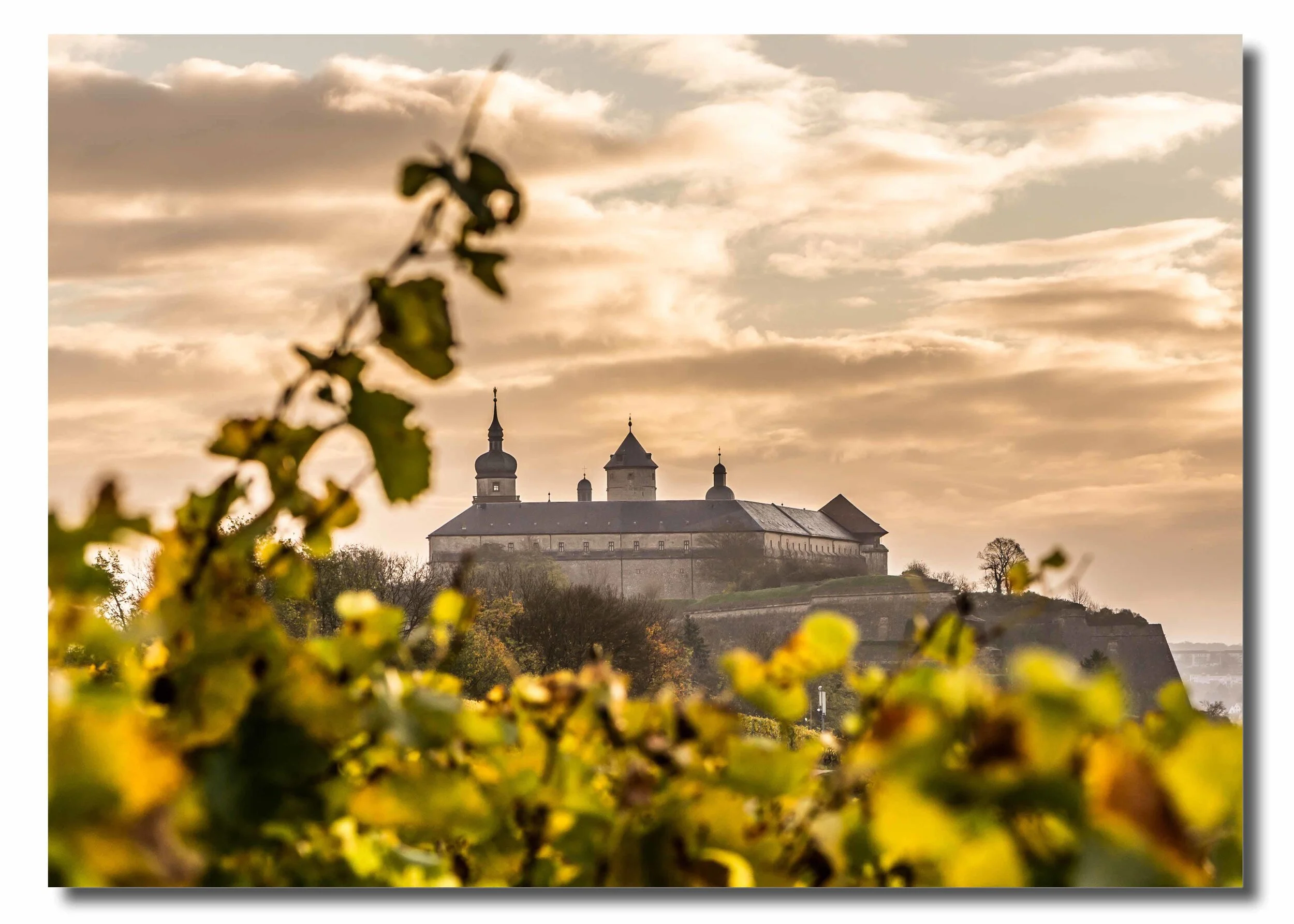 Herbst am Marienberg