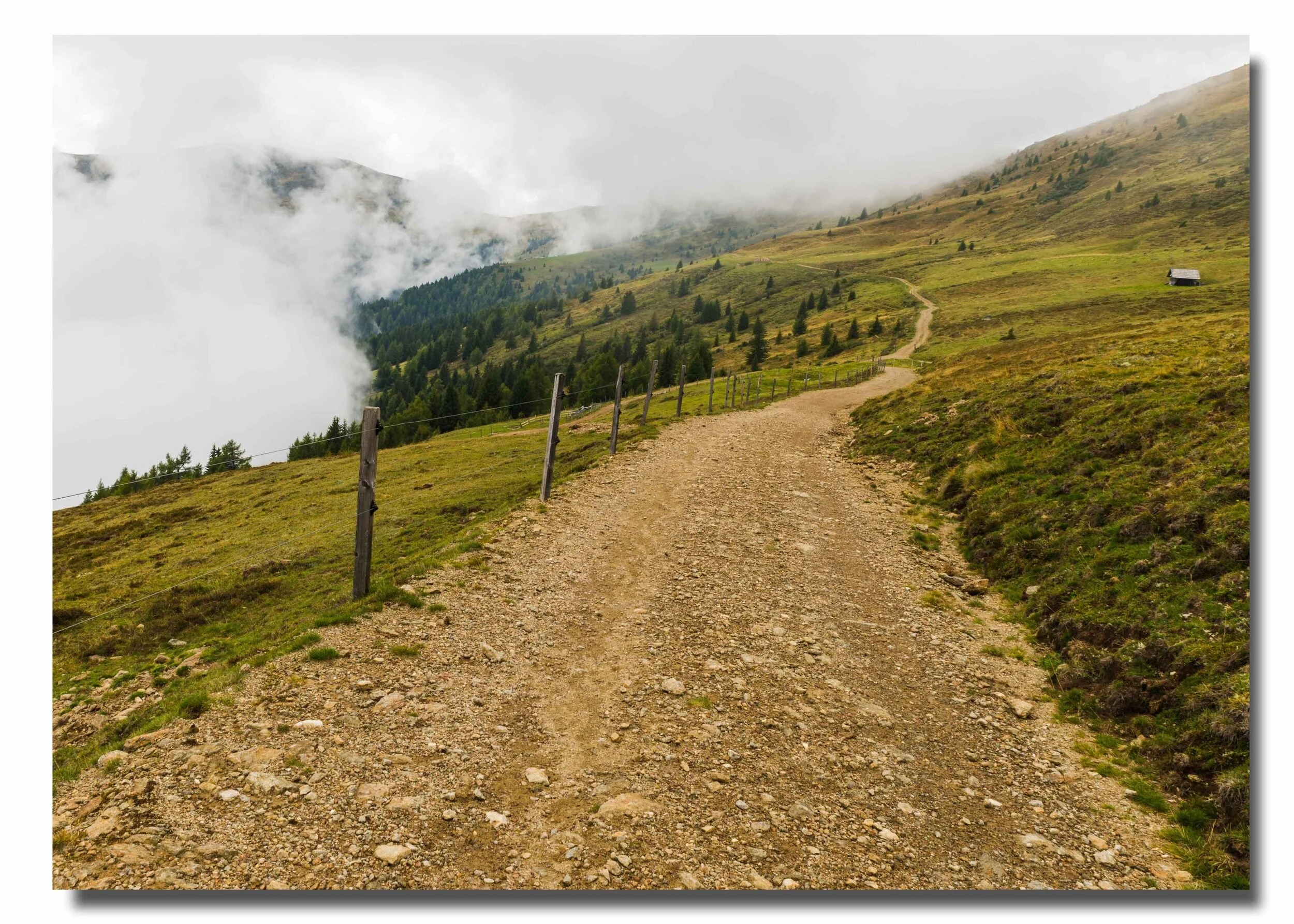 Bergpfad im Nebel